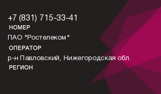 8317153341